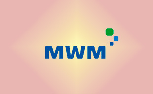 ✓ MWM 241040 Ремень приводной 